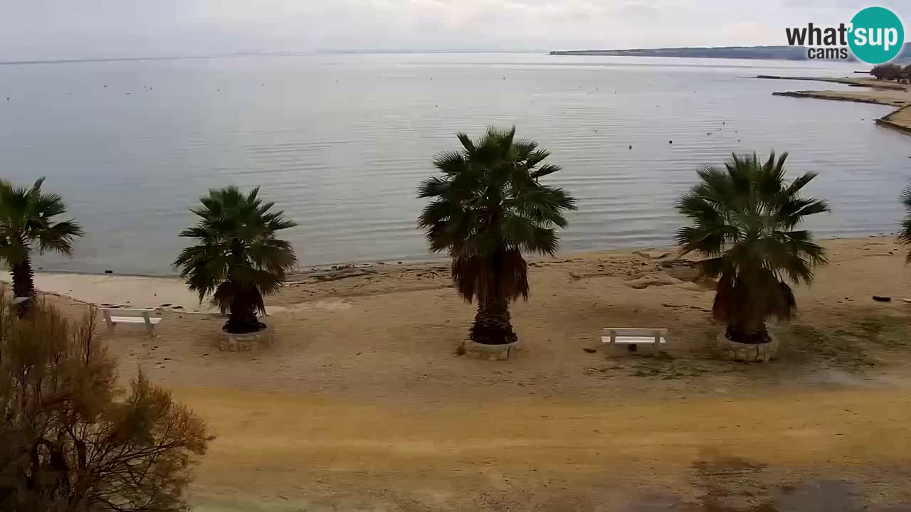 Kamera v živo Vir – Plaža