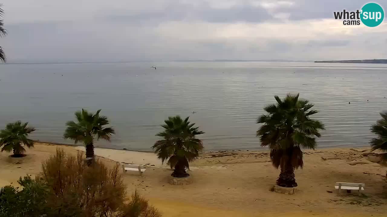 Webcam Vir – Strand