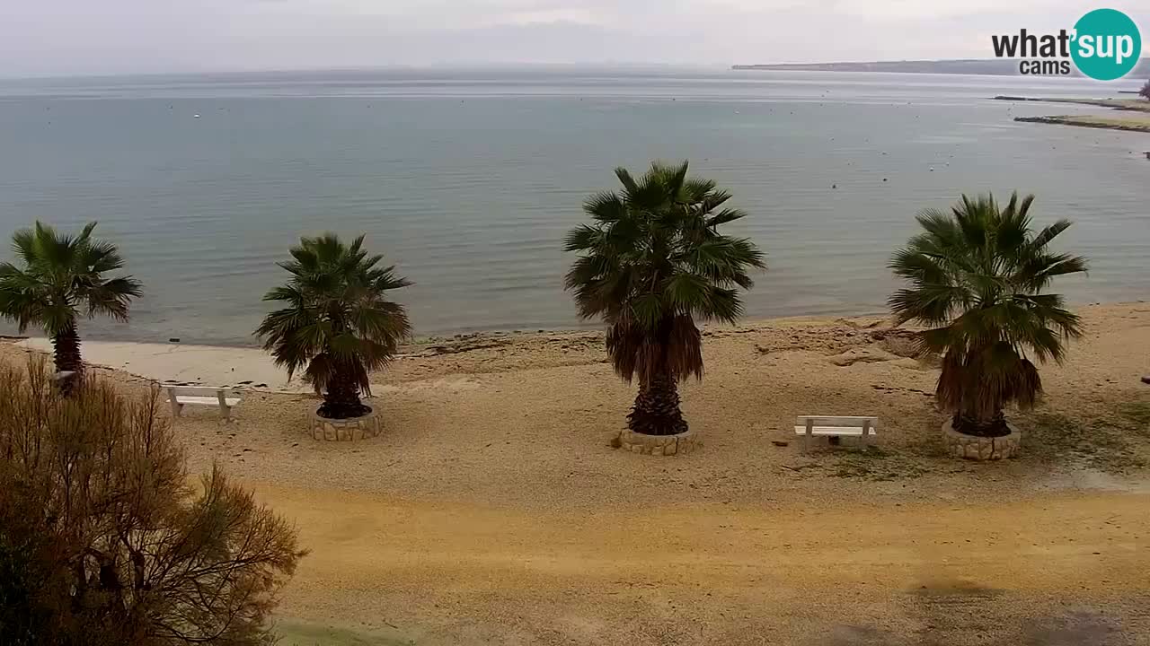 Live cam Vir – Plage