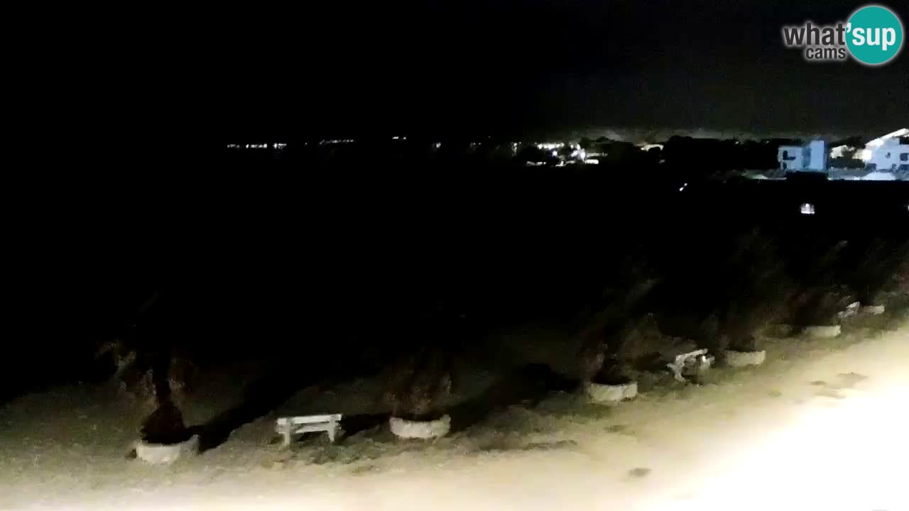 Live cam Vir – Plage