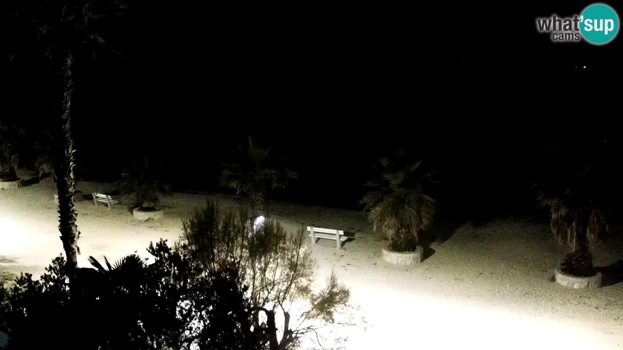 Webcam Vir – Strand