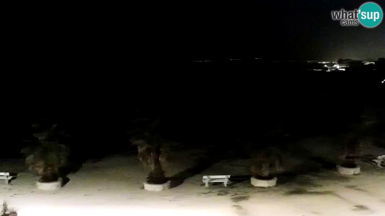 Live cam Vir – Plage