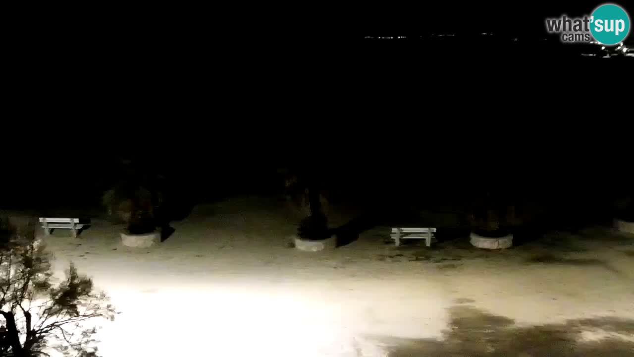 Web kamera Vir – Plaža