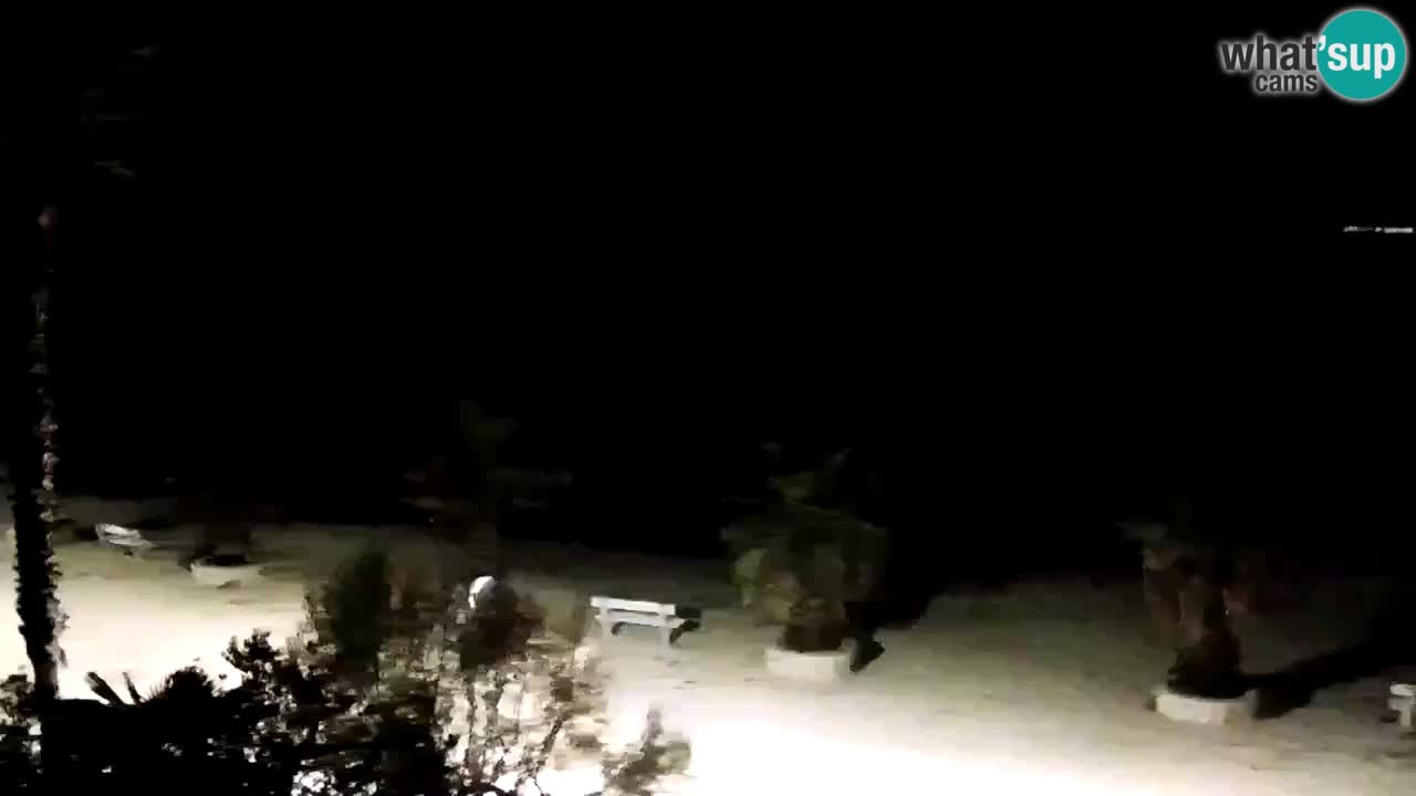 Webcam Vir – Strand