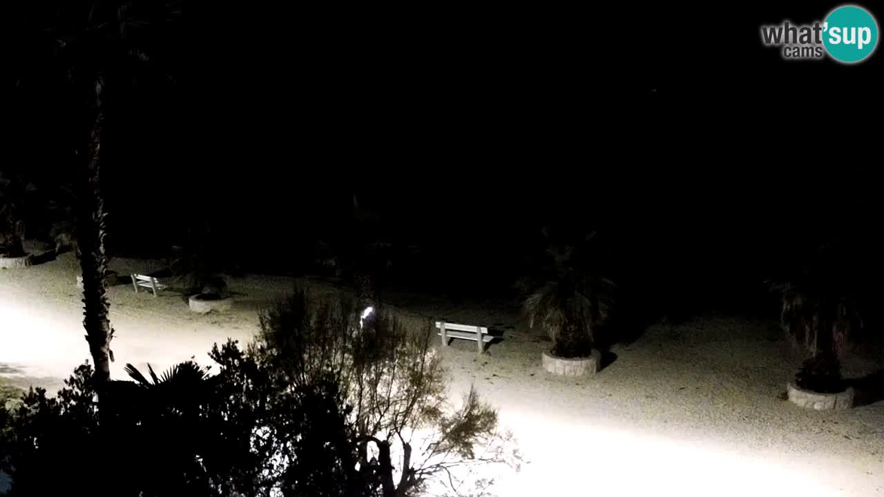 Webcam Vir – Strand