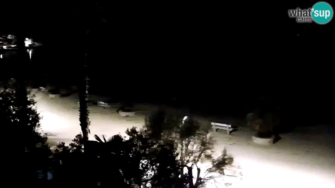 Kamera v živo Vir – Plaža