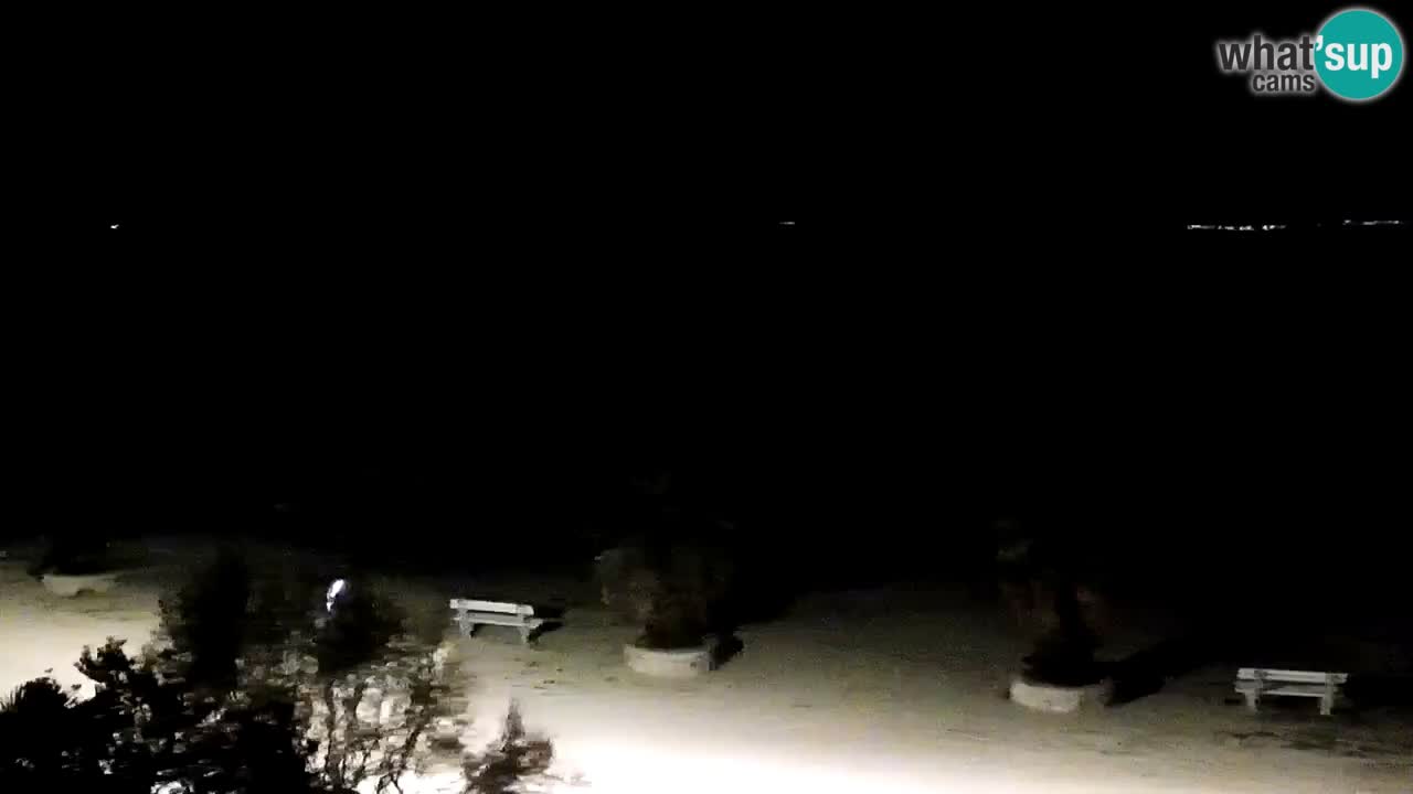 Live cam Vir – Plage