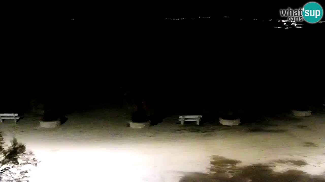 Live cam Vir – Plage