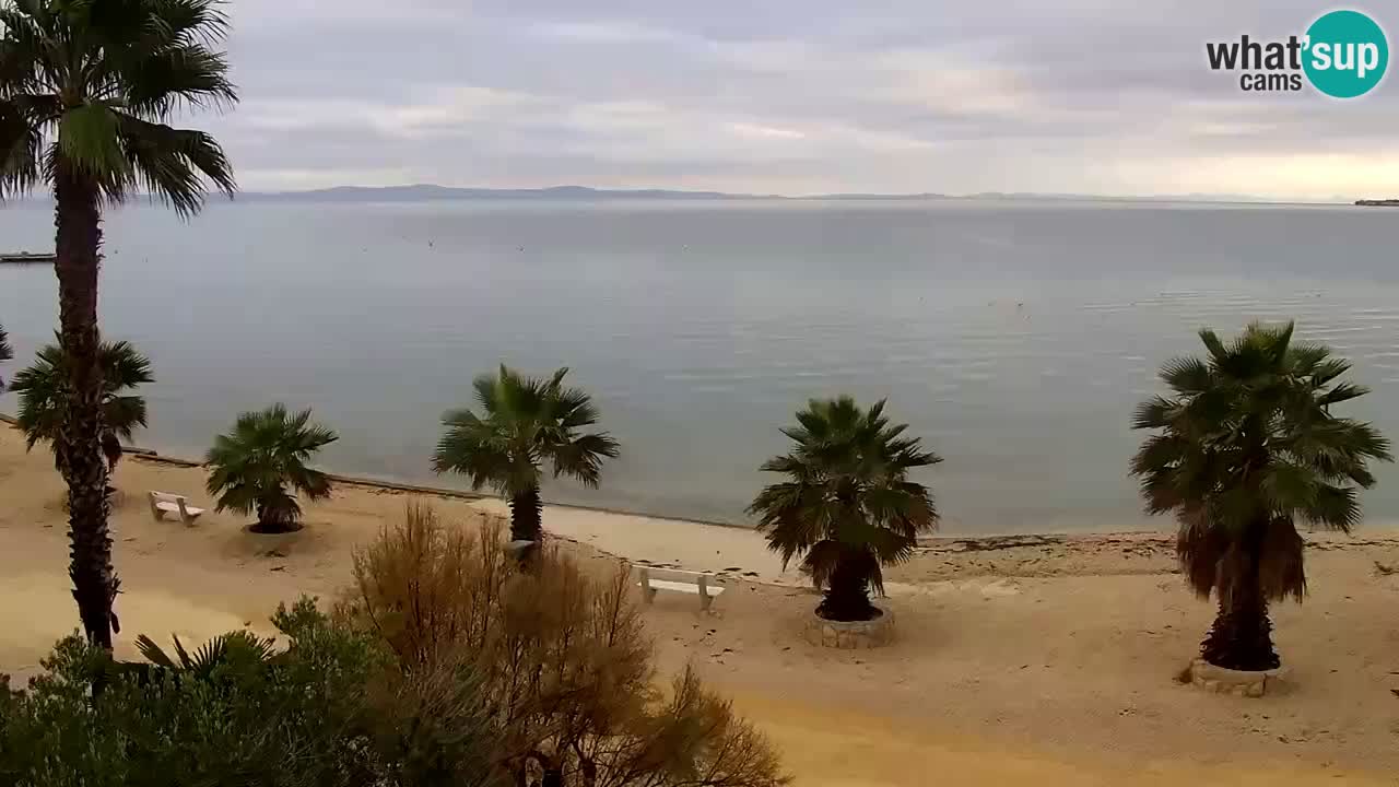 Live cam Vir – Plage