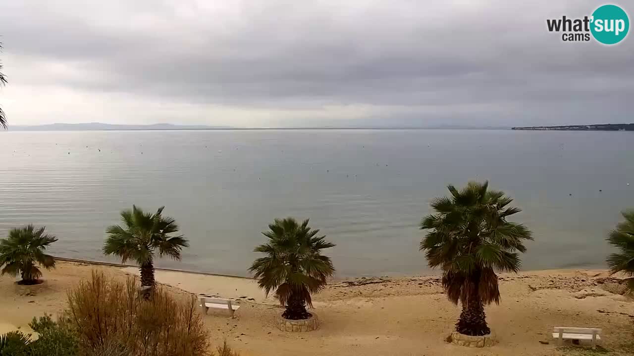 Live cam Vir – Plage