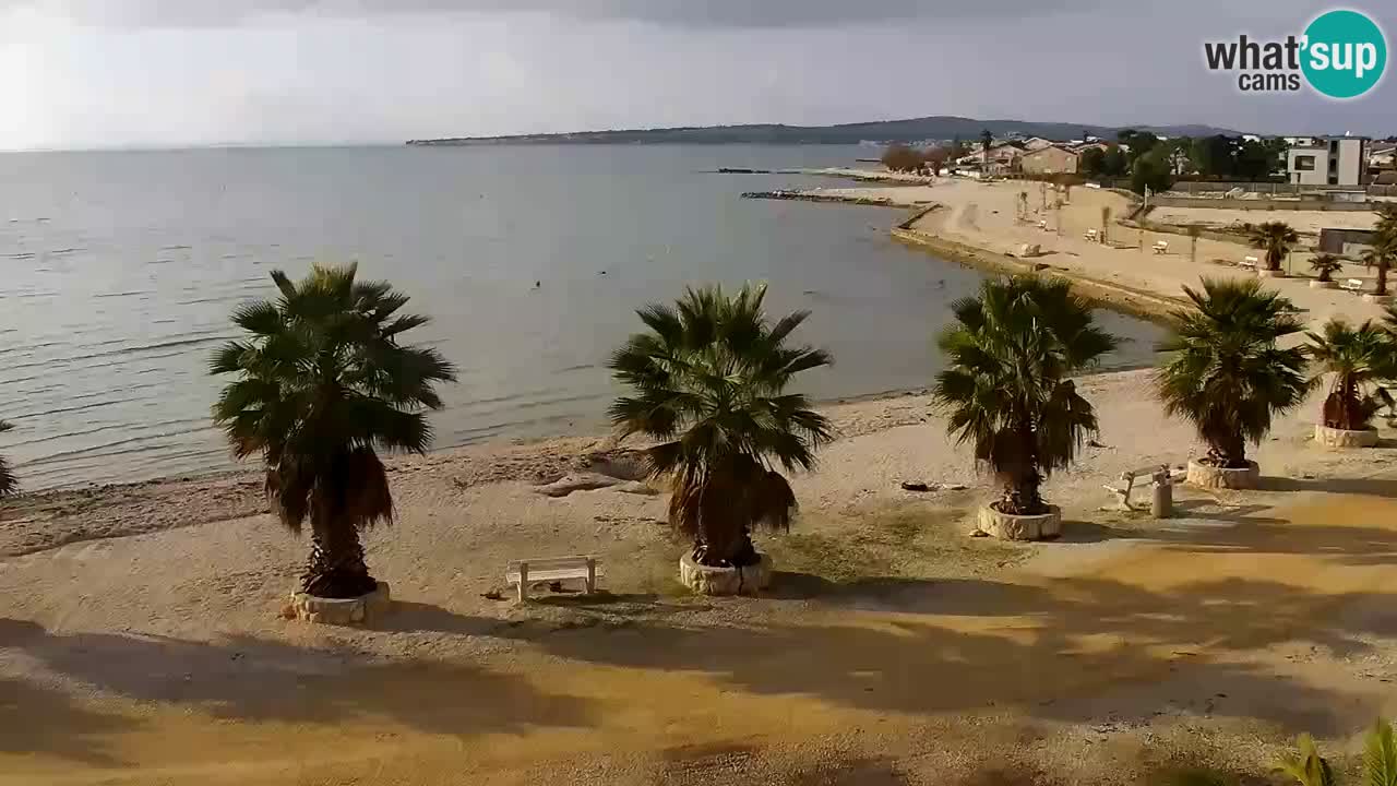 Live cam Vir – Plage