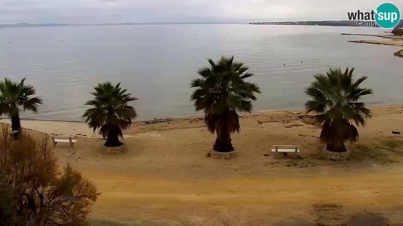 Live cam Vir – Plage