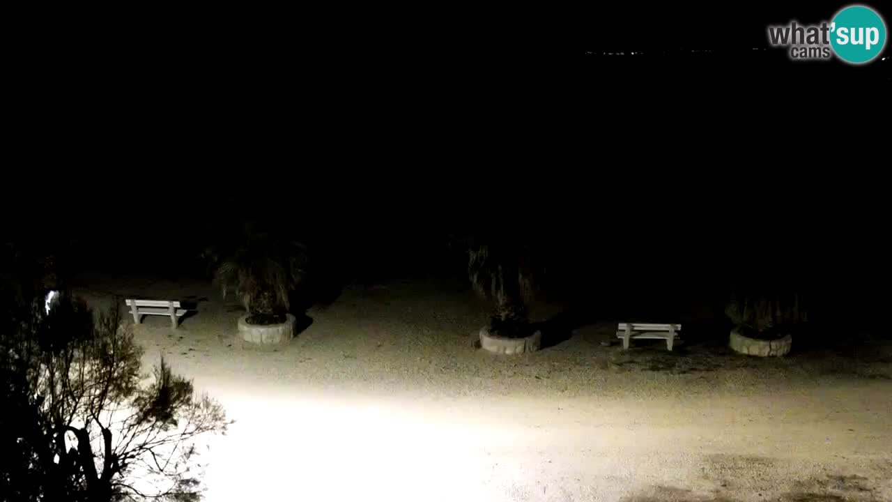 Kamera v živo Vir – Plaža