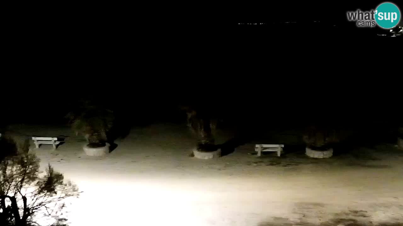 Kamera v živo Vir – Plaža