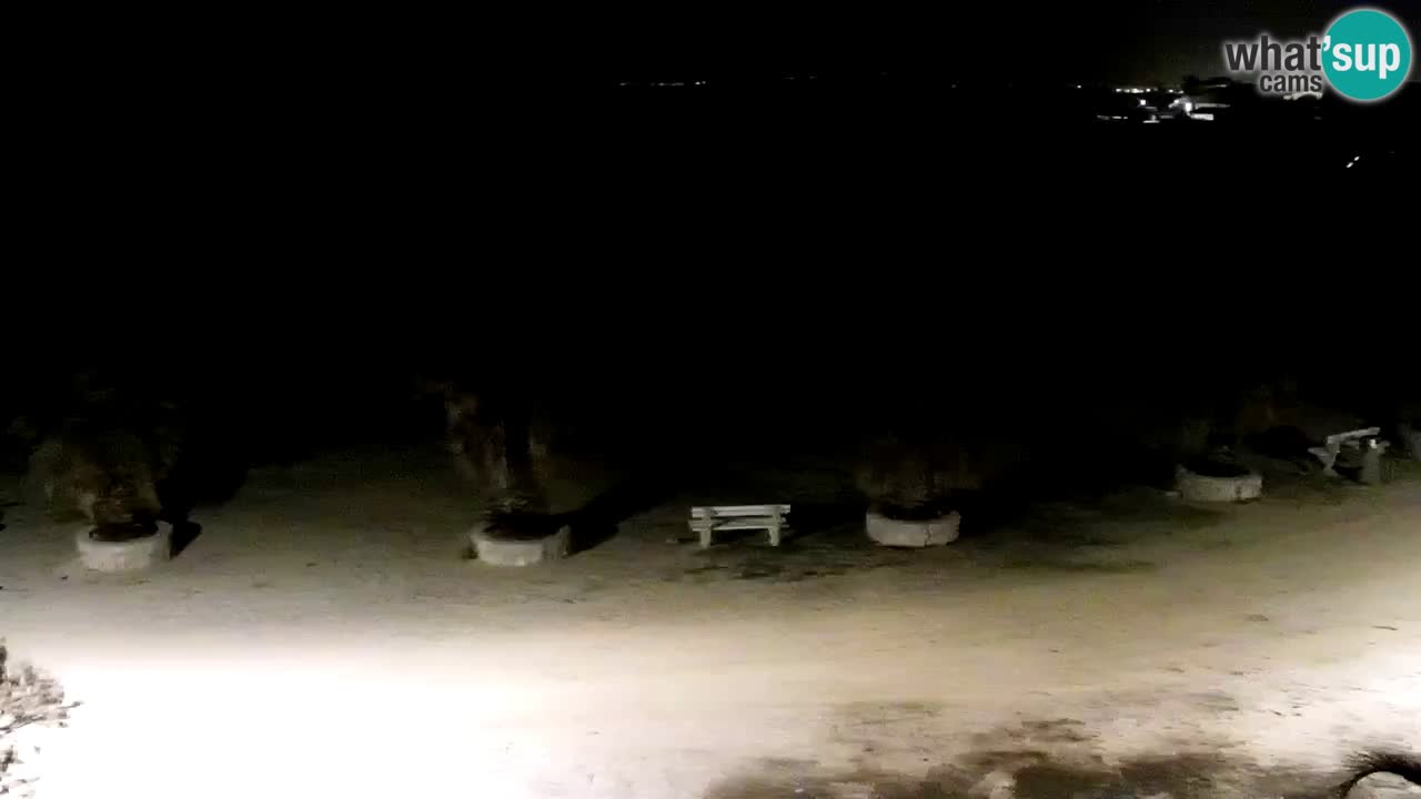 Live cam Vir – Plage