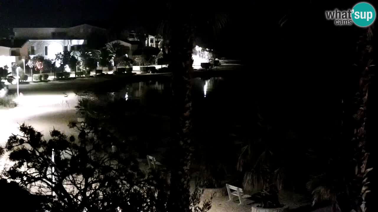 Web kamera Vir – Plaža