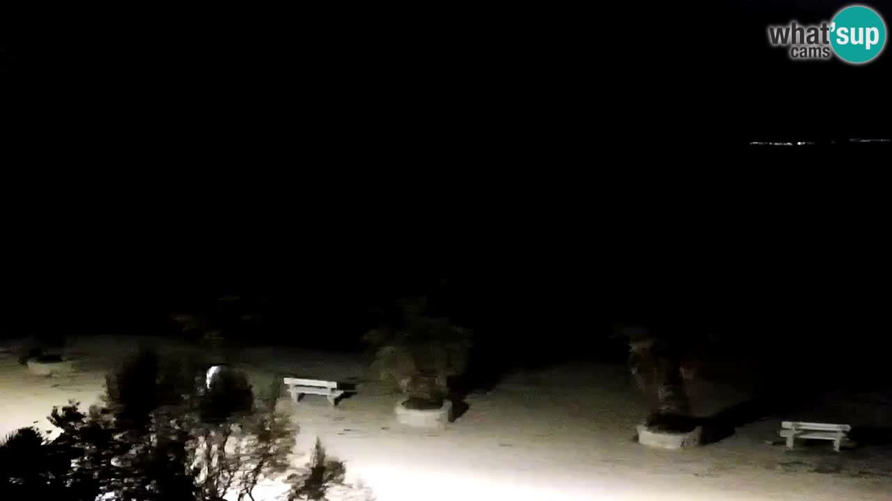 Live cam Vir – Plage