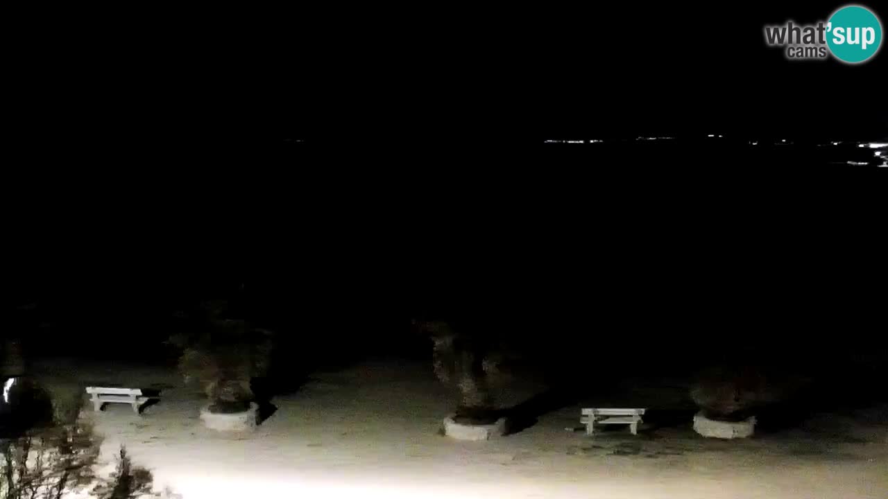 Live cam Vir – Plage