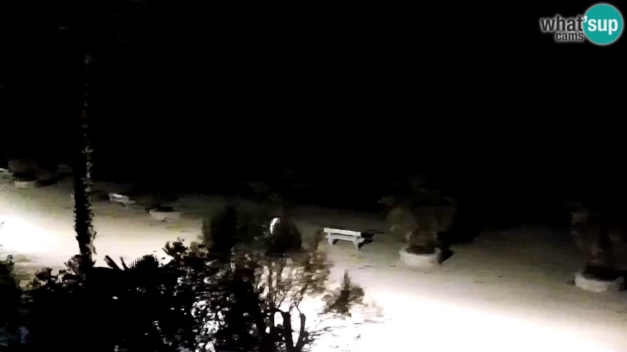 Web kamera Vir – Plaža