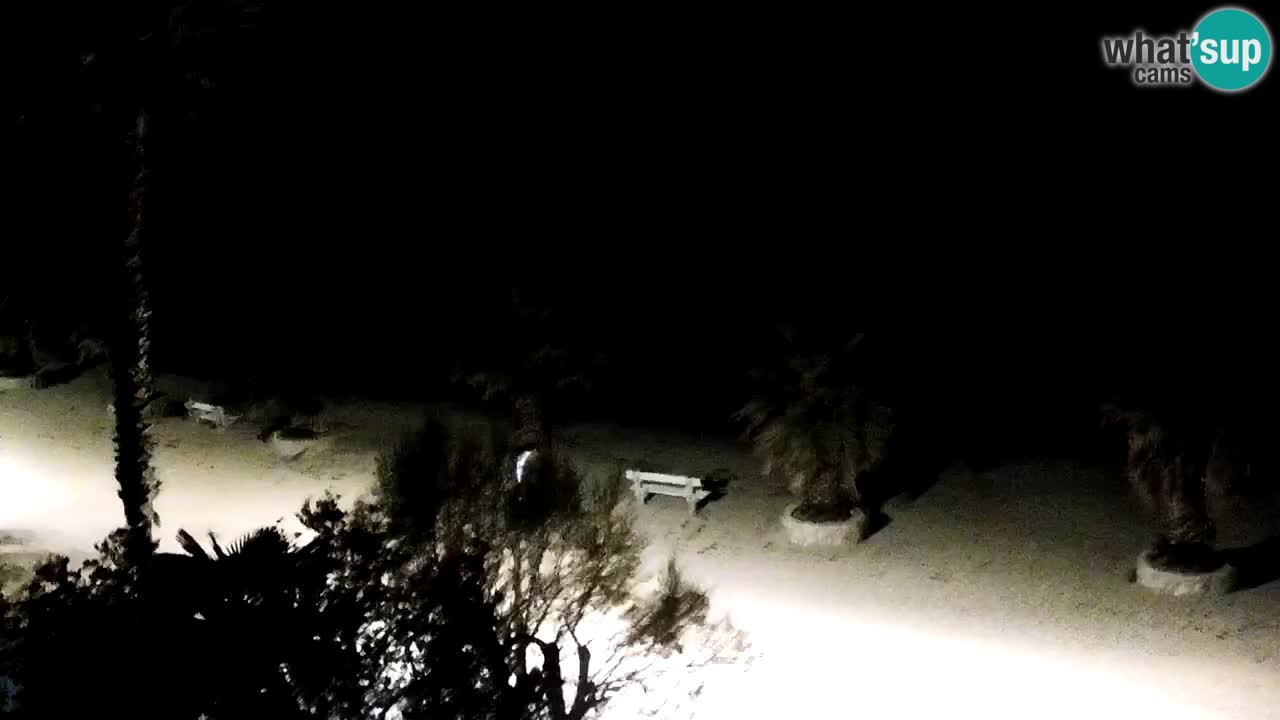 Kamera v živo Vir – Plaža