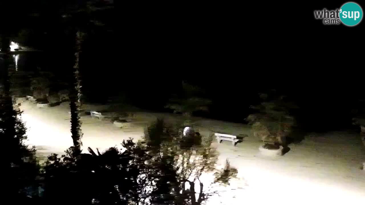 Live cam Vir – Plage