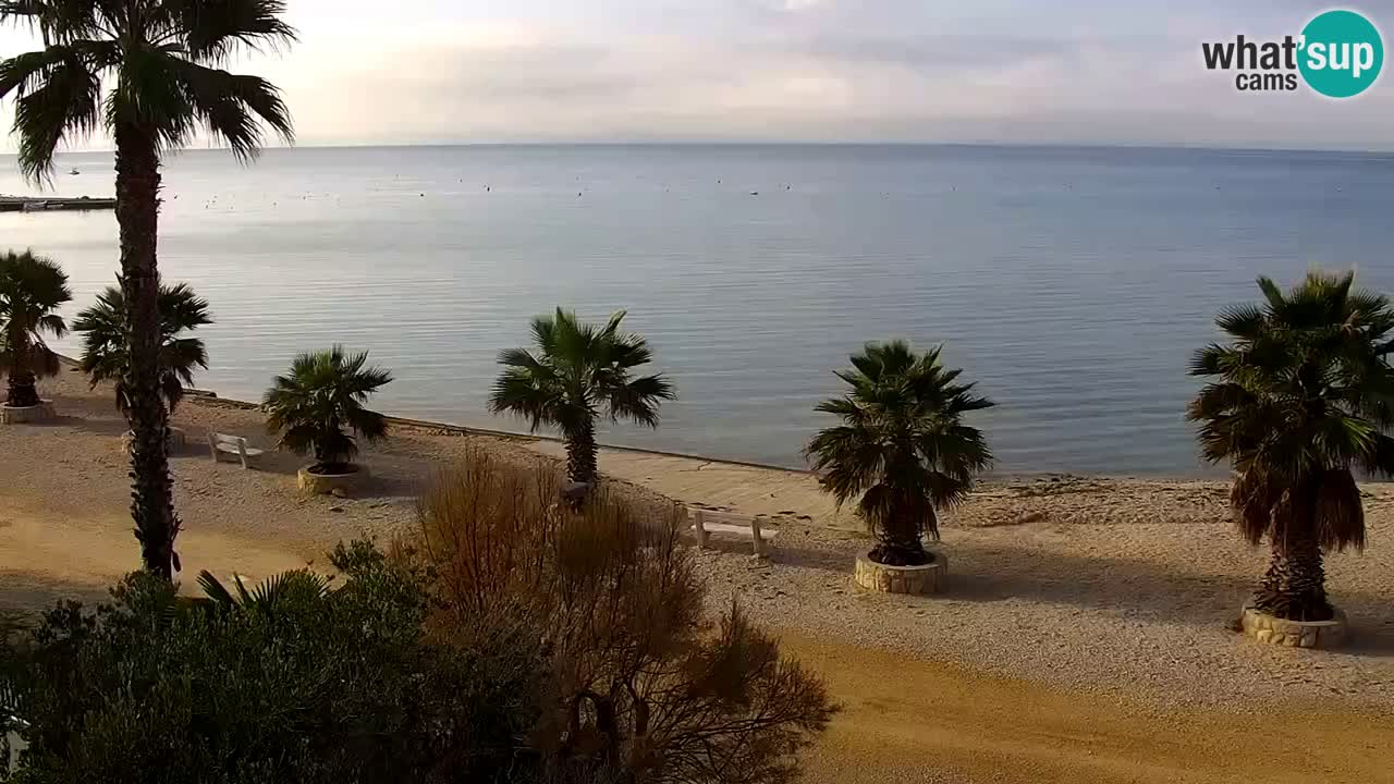 Webcam Vir – Spiaggia