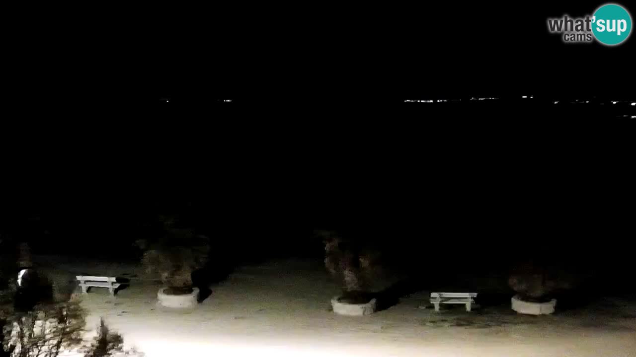 Live cam Vir – Plage