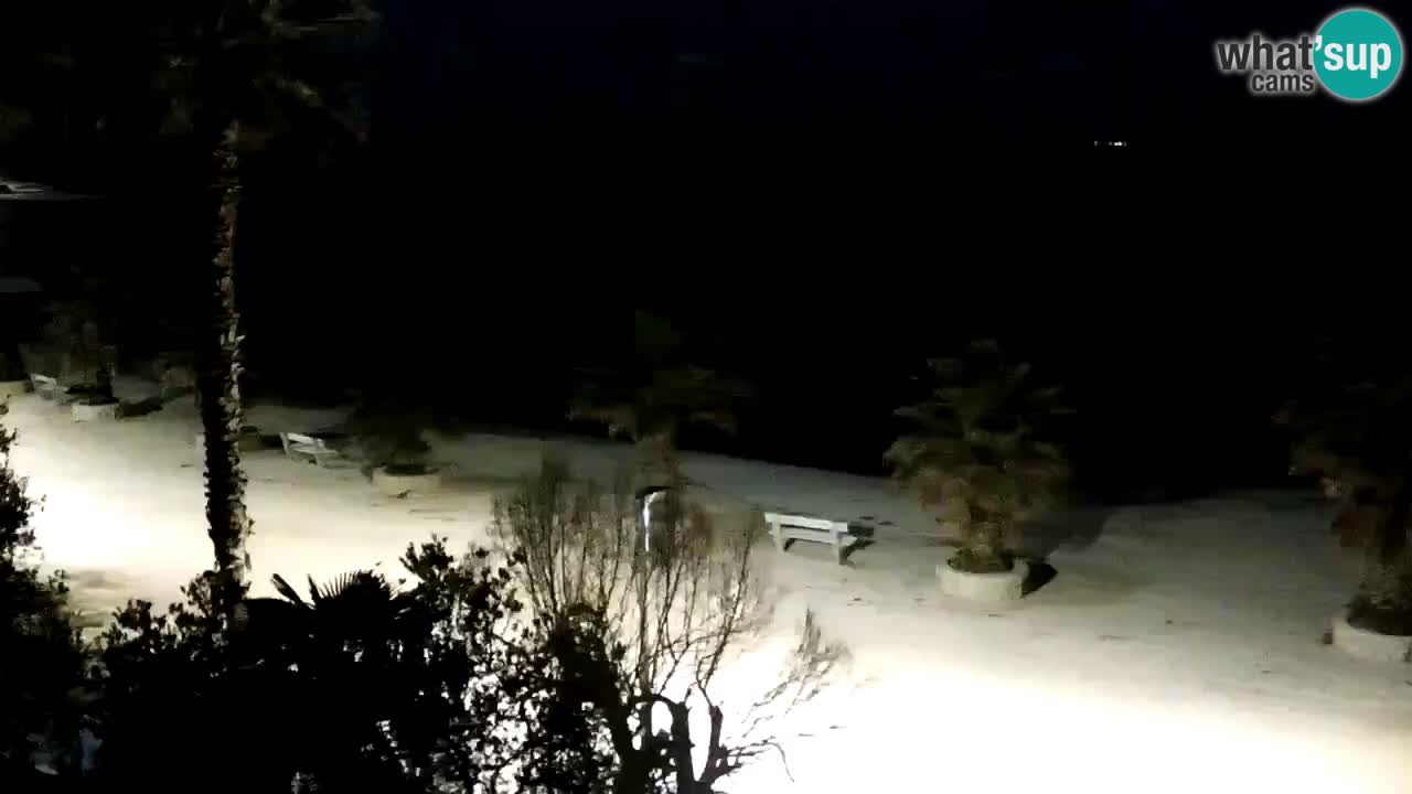 Web kamera Vir – Plaža