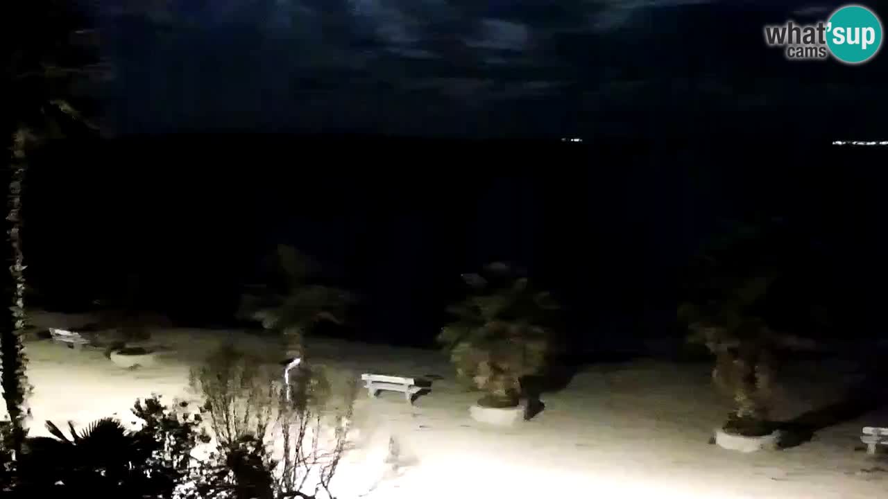 Webcam Vir – Spiaggia