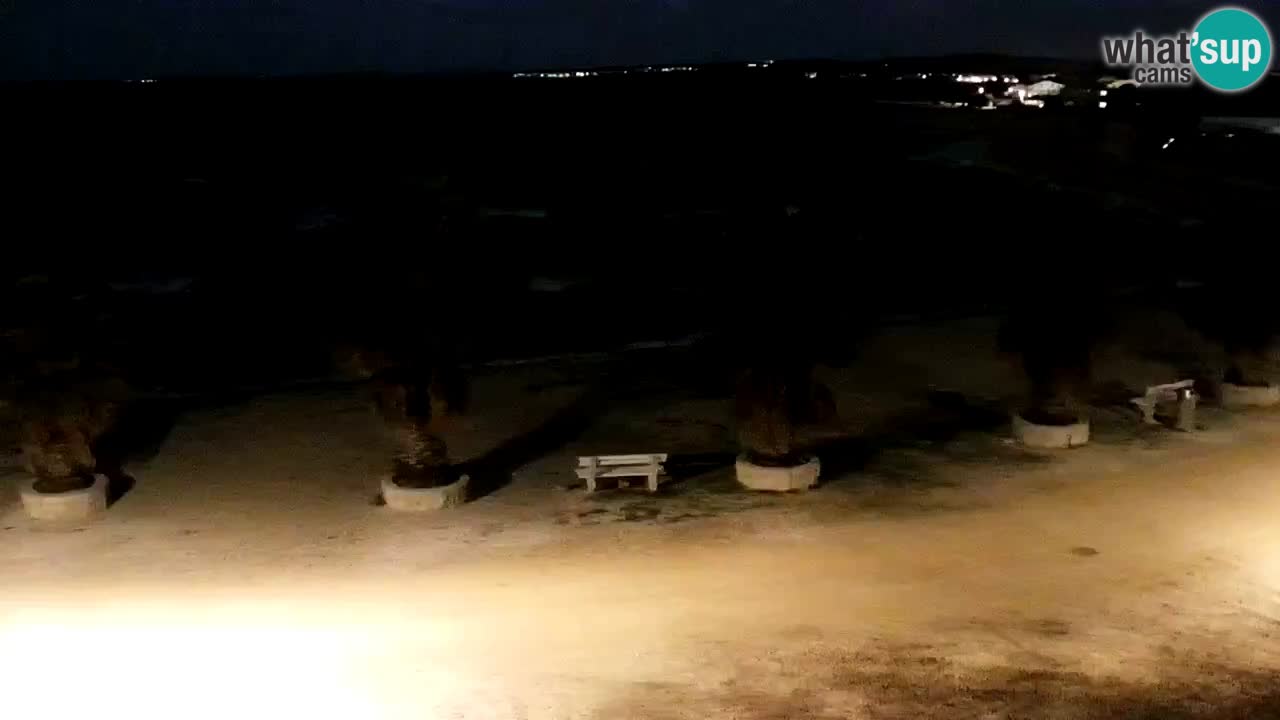 Kamera v živo Vir – Plaža