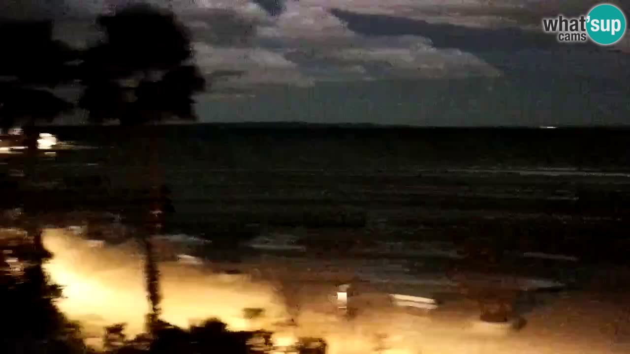 Live cam Vir – Plage