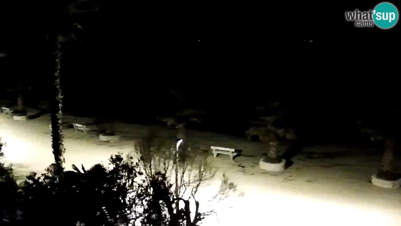 Live cam Vir – Plage