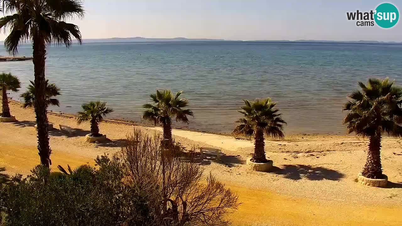 Live cam Vir – Plage