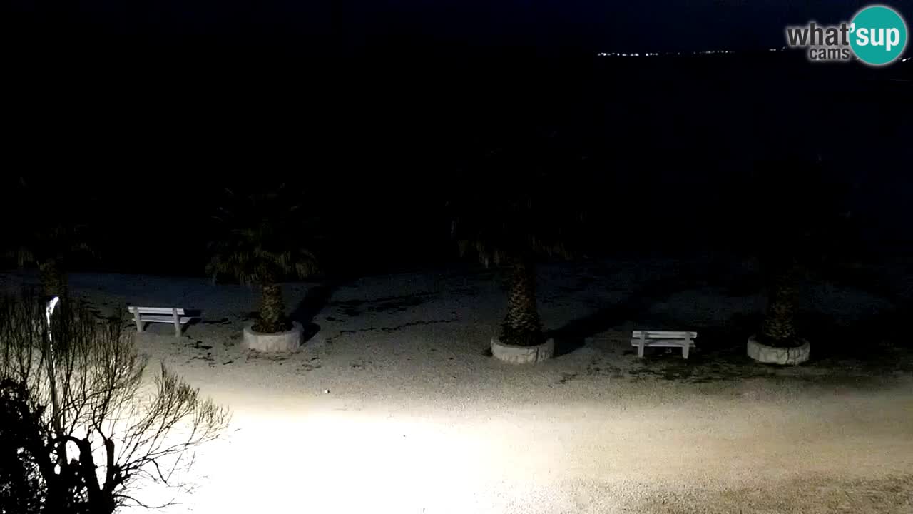 Live cam Vir – Plage