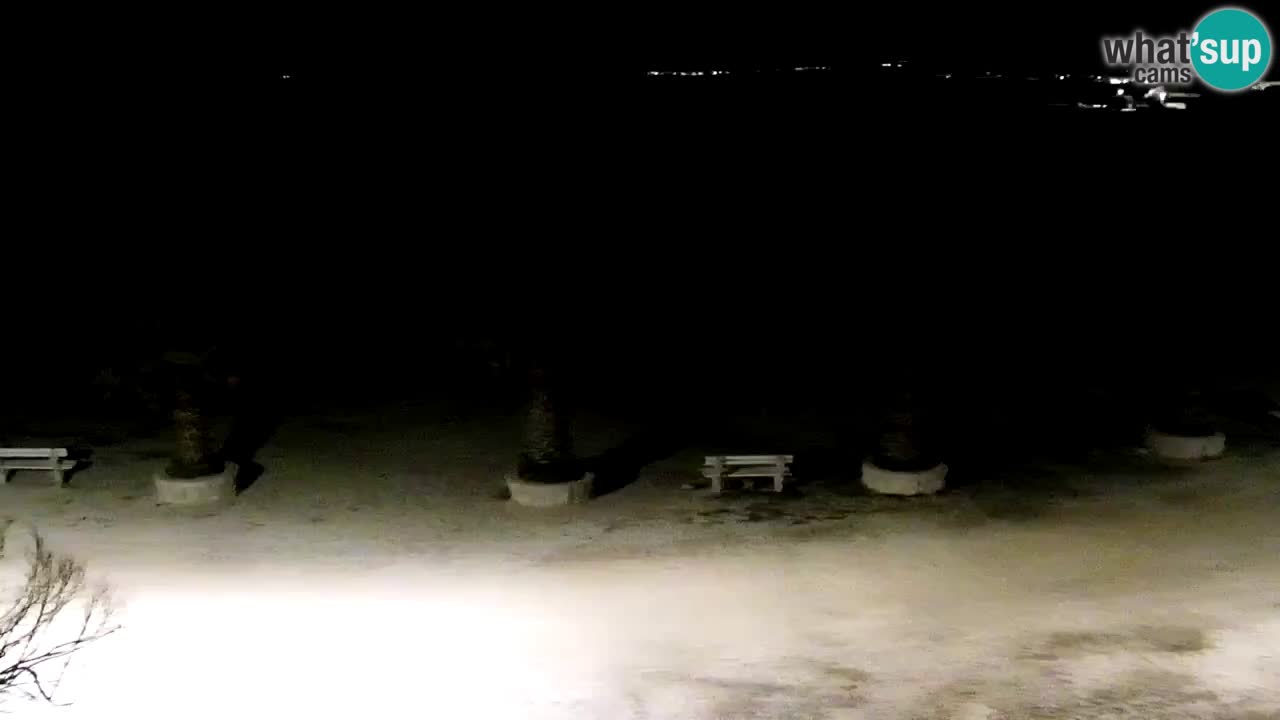 Kamera v živo Vir – Plaža