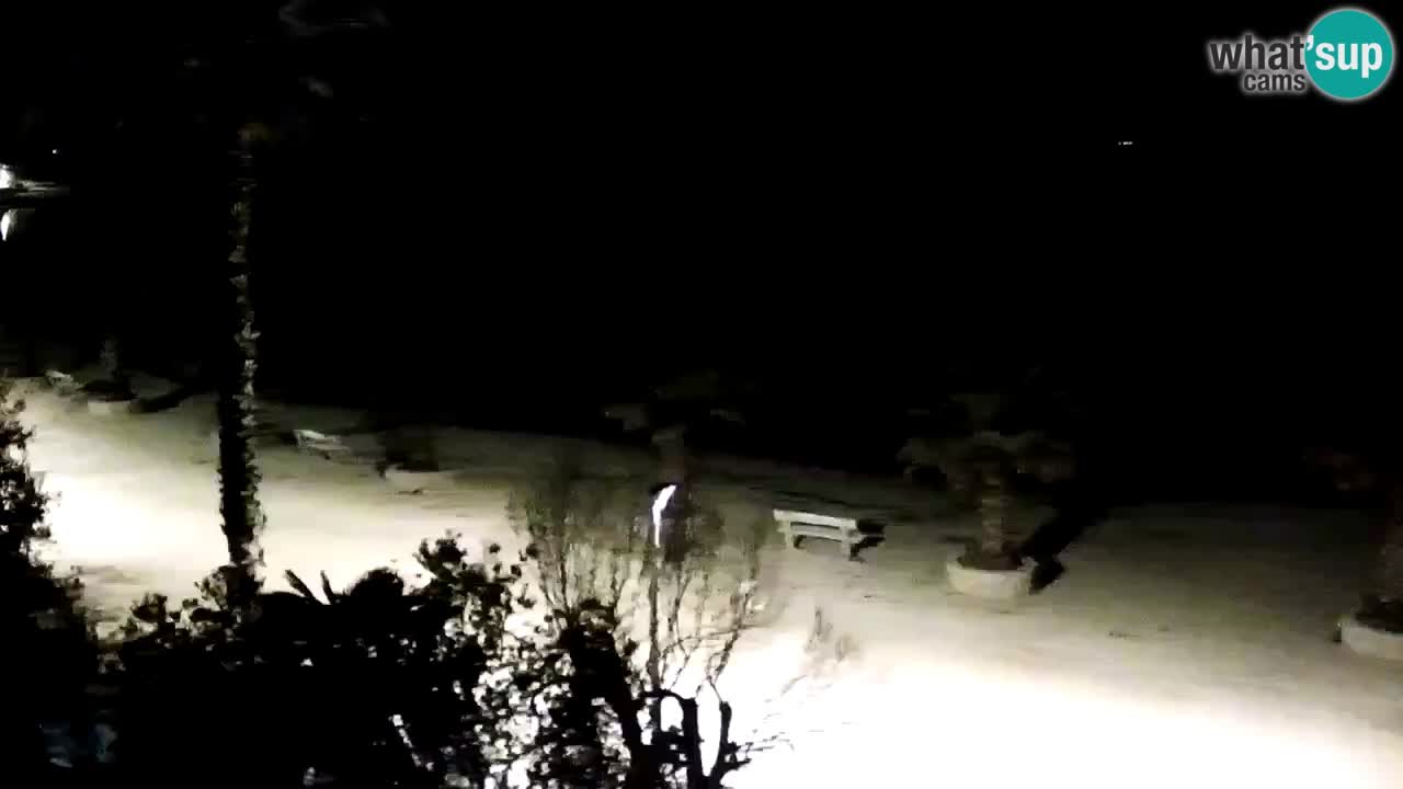 Kamera v živo Vir – Plaža