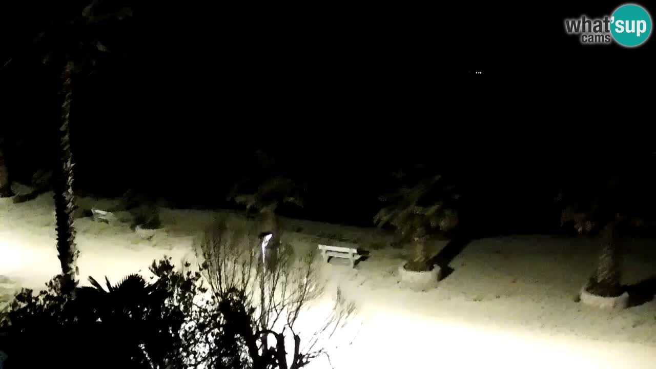 Camera en vivo Vir – Playa