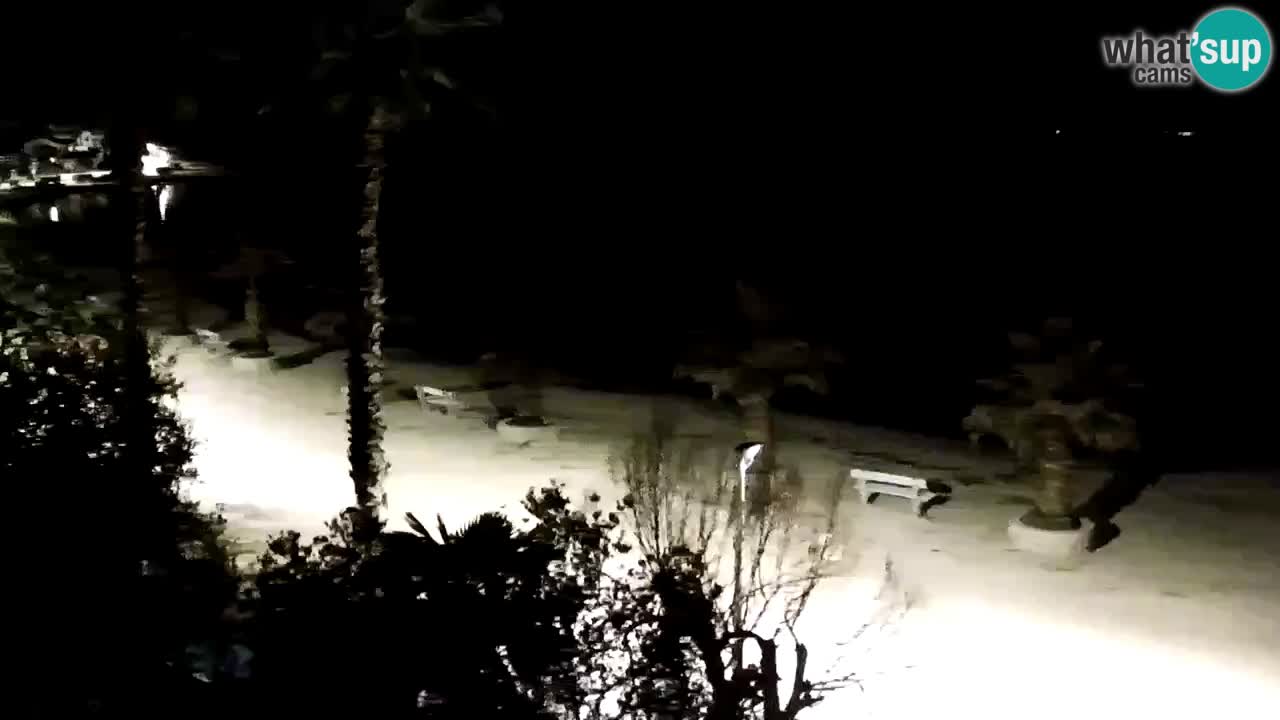 Live cam Vir – Plage