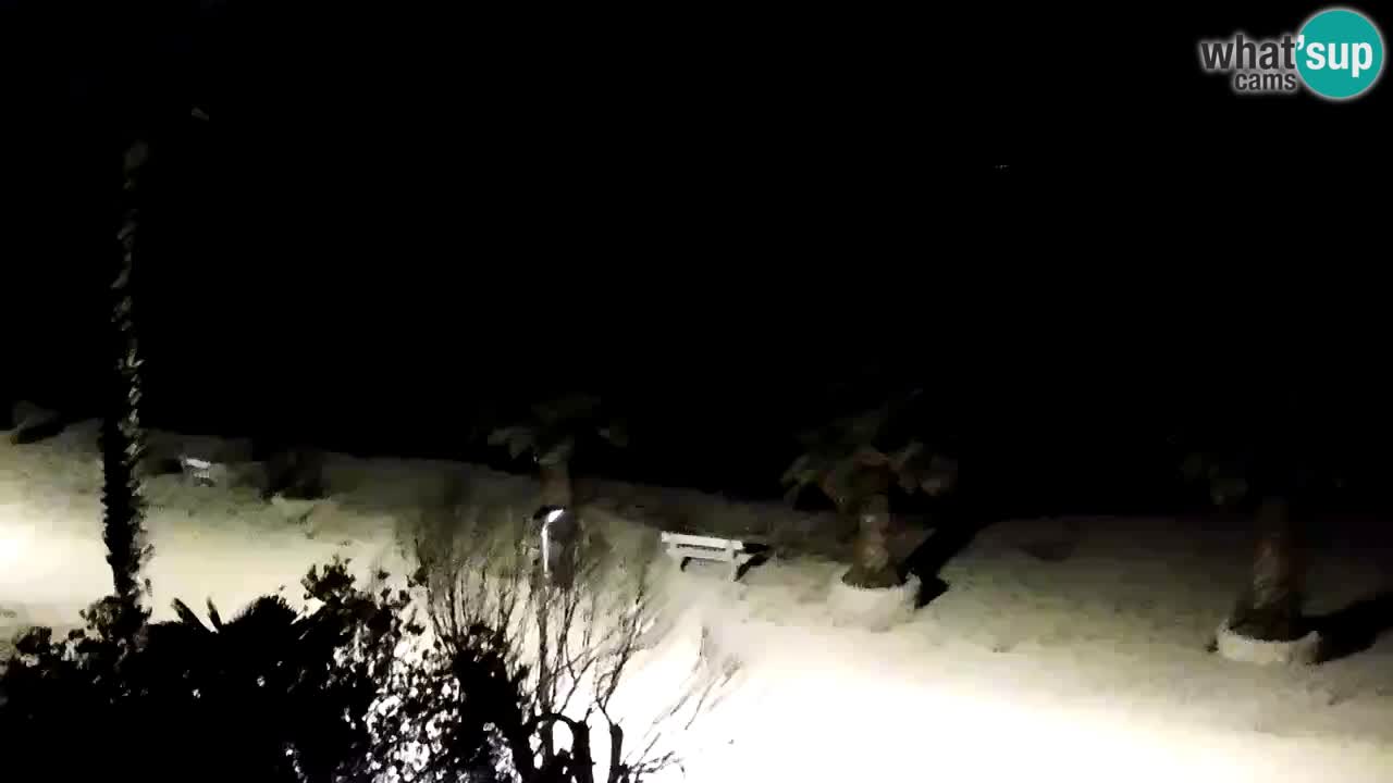 Webcam Vir – Spiaggia