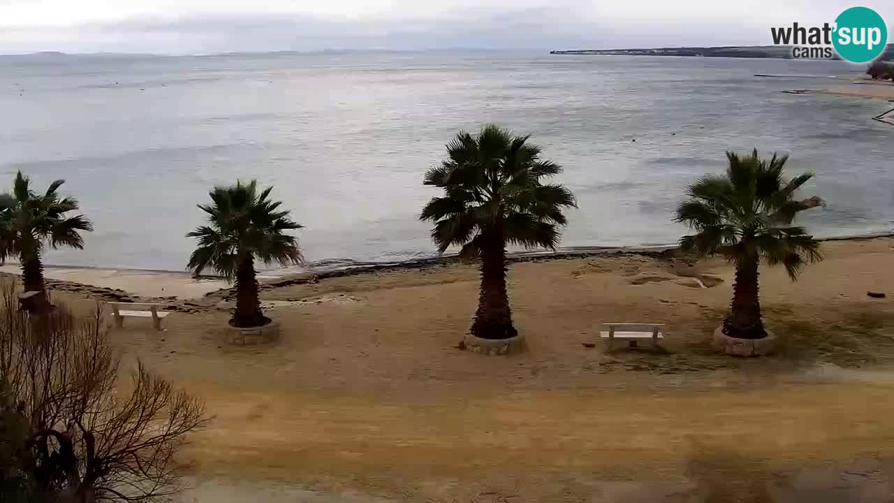 Live cam Vir – Plage