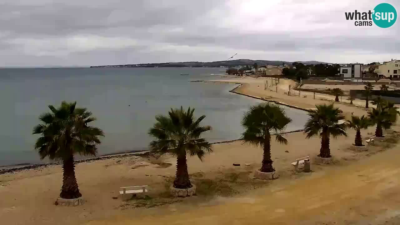 Live cam Vir – Plage