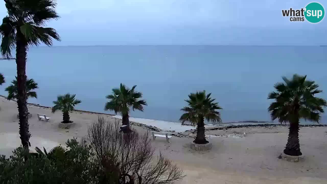 Webcam Vir – Strand