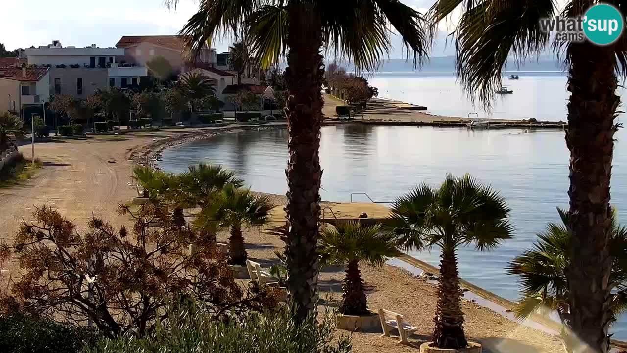 Web kamera Vir – Plaža