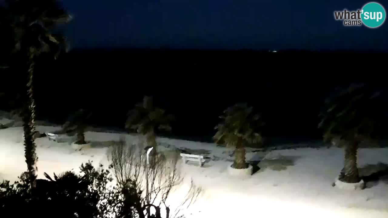 Live cam Vir – Plage