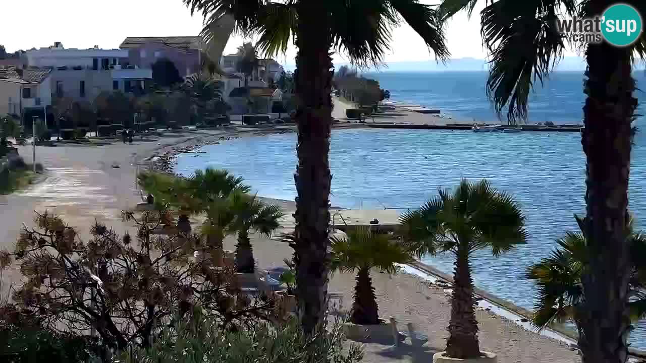 Live cam Vir – Plage