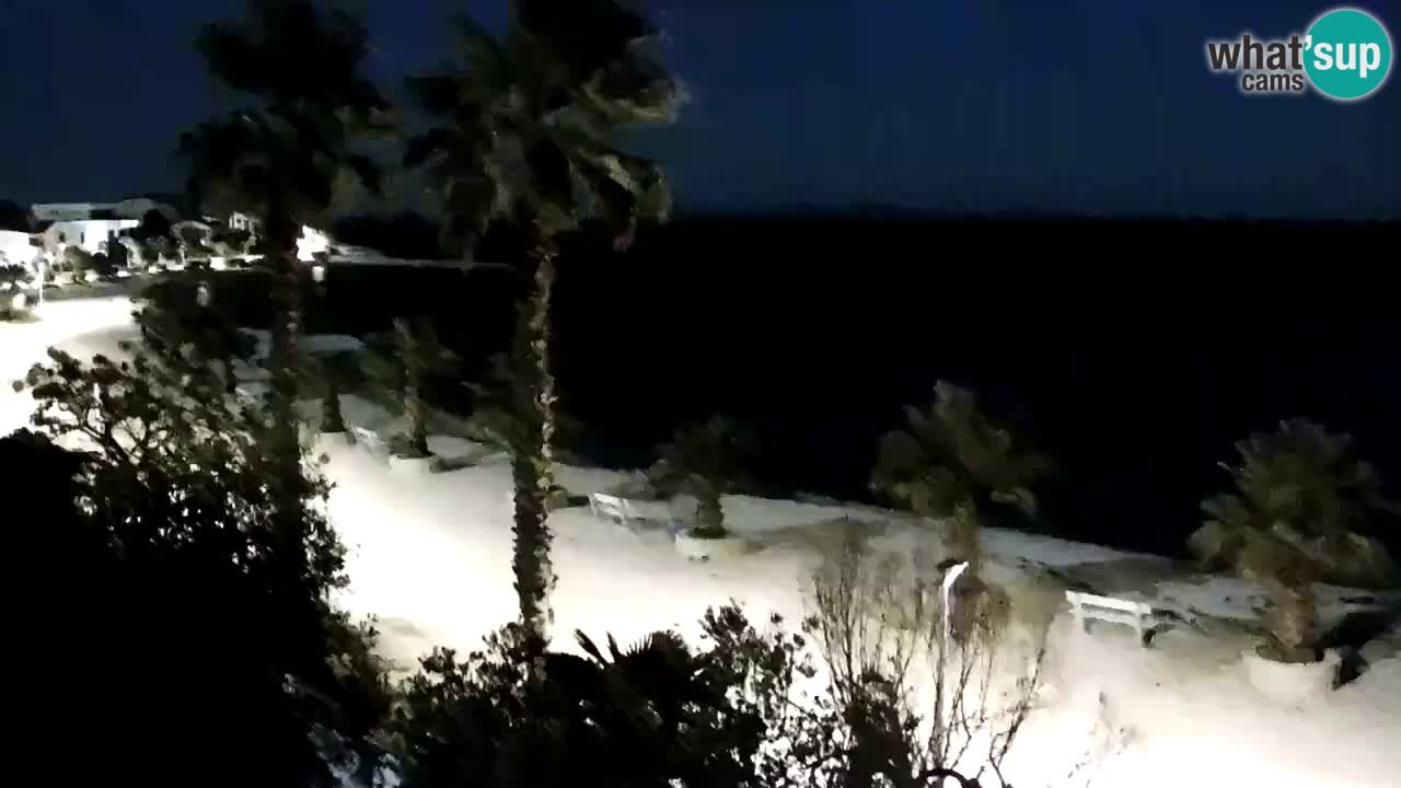 Kamera v živo Vir – Plaža