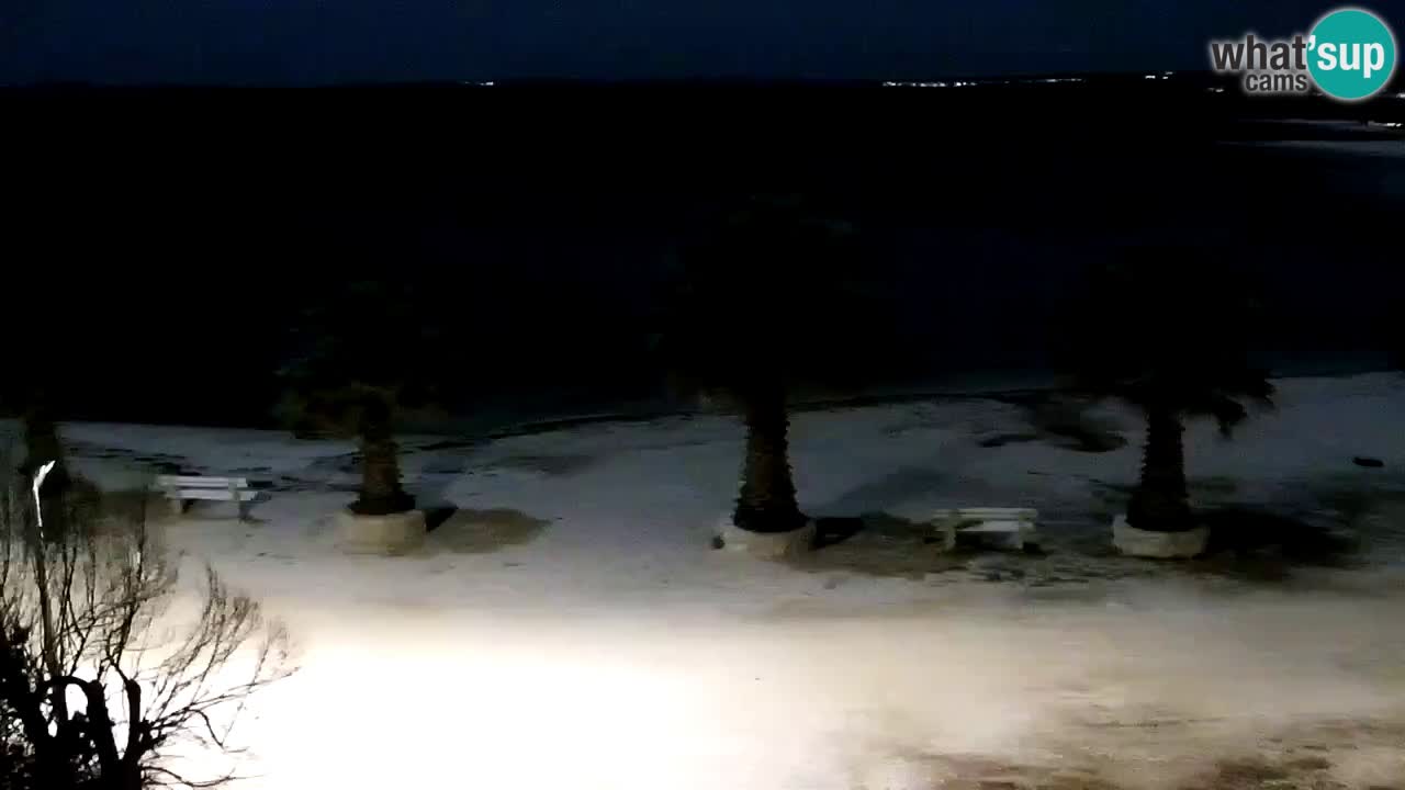 Live cam Vir – Plage