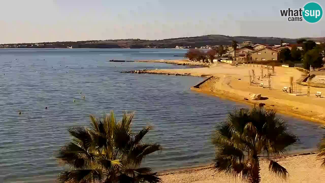 Webcam Vir – Strand