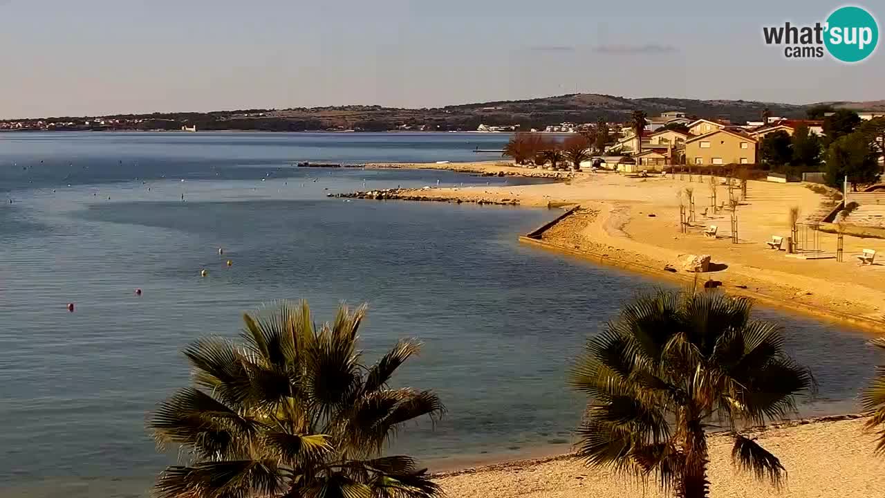 Live cam Vir – Plage