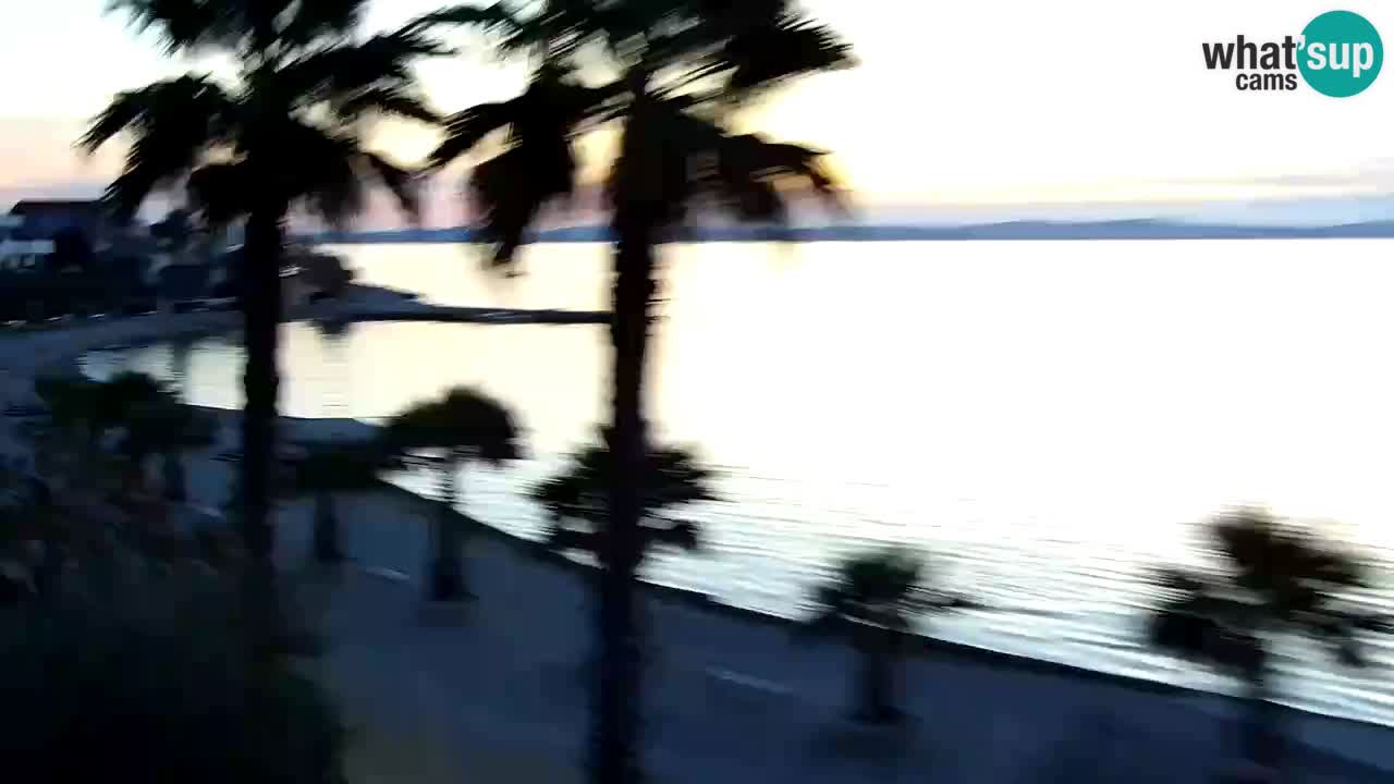 Live cam Vir – Plage